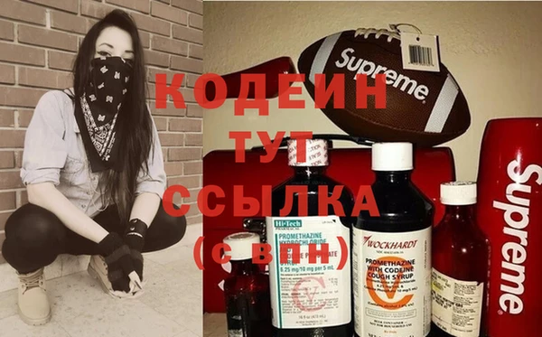 шишки Великий Новгород