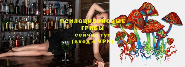 соль курить ск Надым